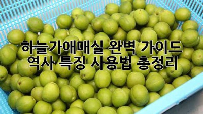 하늘가애매실 완벽 가이드: 역사, 특징, 사용법 총정리