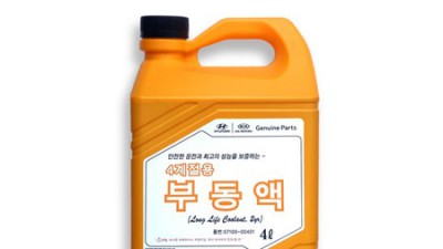 내 차 에쿠스, 부동액 걱정 끝! 꿀팁 대방출🍯